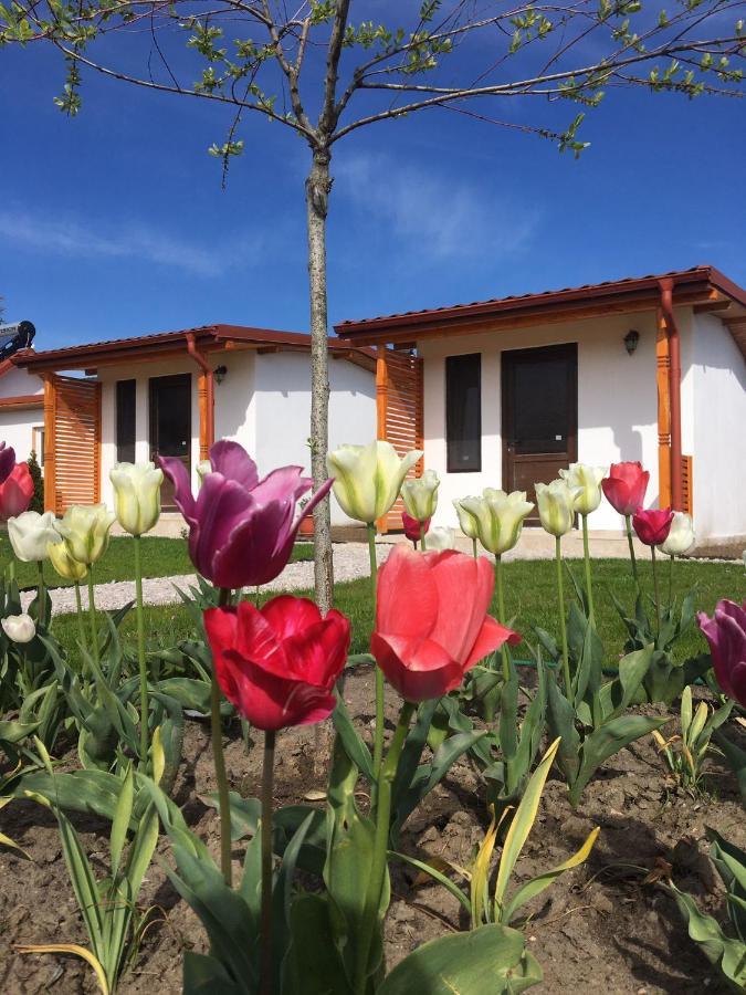 Casa Ivana Муригьол Экстерьер фото