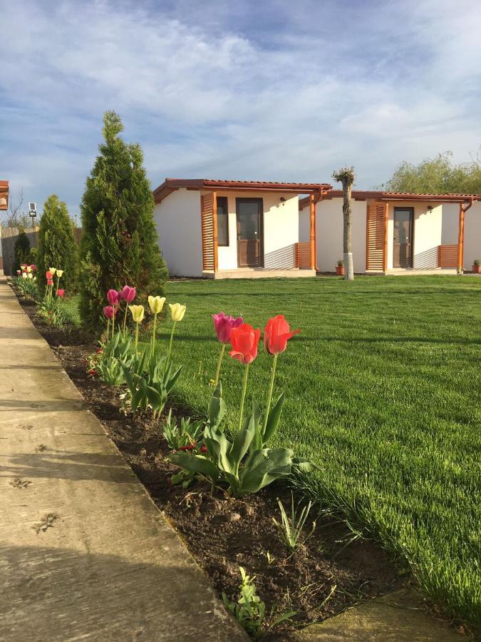 Casa Ivana Муригьол Экстерьер фото